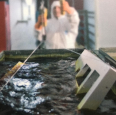 Ön İşlem Uygulamaları